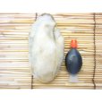 画像4: 冷凍かき 広島県産　広島牡蠣2Ｌ（LL） 1kg (4)
