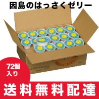 【のし・包装・手さげ袋がご不用の方はこちら】 因島のはっさくゼリー 72個入り