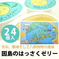 【のし・包装・手さげ袋がご不用の方はこちら】 因島のはっさくゼリー 24個入り