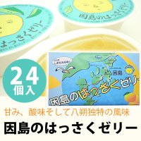 因島のはっさくゼリー 24個入り