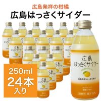 広島 はっさくサイダー 250ml×24本入り  炭酸ジュース ドリンク