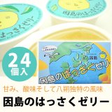 画像: 【のし・包装・手さげ袋がご不用の方はこちら】 因島のはっさくゼリー 24個入り