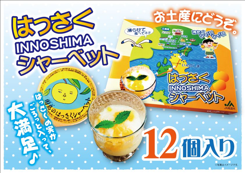 冬バーゲン☆】 因島 はっさくゼリー 12個セット 八朔果肉入り 果物ゼリー フルーツゼリー 贈り物 スイーツ ギフト